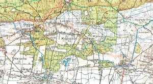 PuszczaKam_map_LAM9_PLg26_9788383552965_05_2.jpg