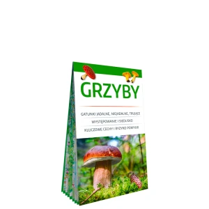 Grzyby. Poręczny, laminowany miniprzewodnik po najpopularniejszych gatunkach.