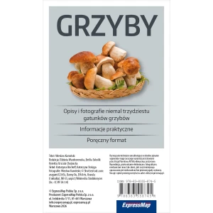 Grzyby...._flx_MID7_PLg26_9788383558745_06.jpg