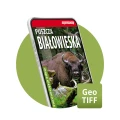 Puszcza Białowieska 1:50 000 mapa elektroniczna, format GeoTIFF