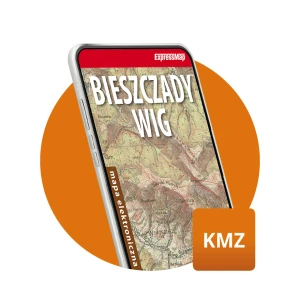 Bieszczady WIG 1:100 000 mapa elektroniczna, format KMZ