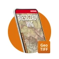 Bieszczady WIG 1:100 000 mapa elektroniczna, format GeoTIFF