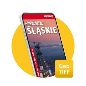 Województwo śląskie 1:250 000 mapa elektroniczna, format GeoTIFF