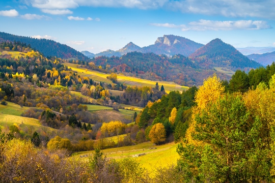 Gdzie na jesień w góry, jeśli nie Tatry?